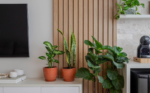 Nearly Immortal: Eight Resilient Plants for Fearless Cultivation